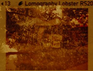 20240702LomoLobsterLomo110-18.jpg